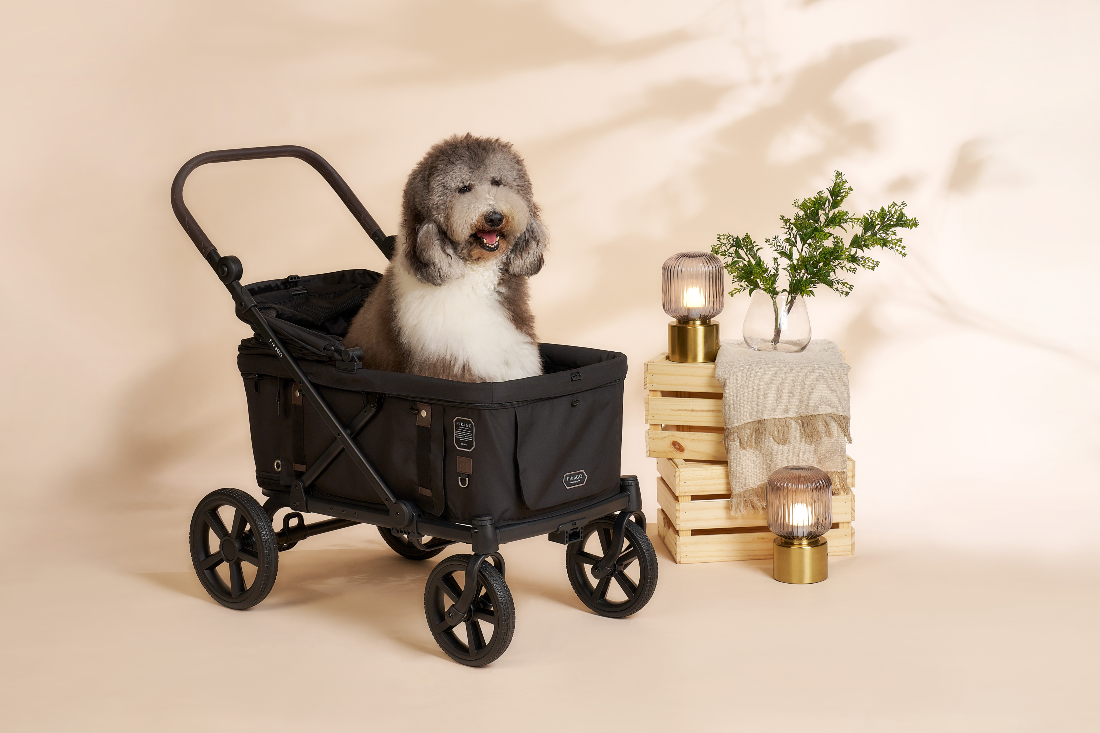 Do Large Dogs Really Need a Stroller?  FikaGO