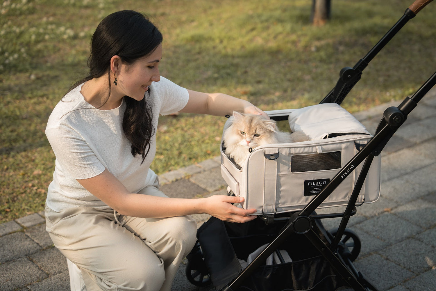 Cat Car Seat: The Best Cat Carrier, Console, and Booster Options (Pet Car Seat)