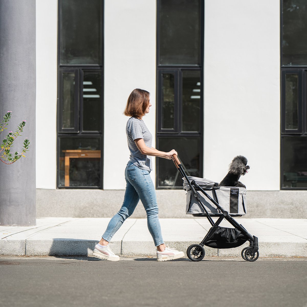 A lady is pushing a FikaGO FREE TO GO 2 pet stroller with a small black poodle dog