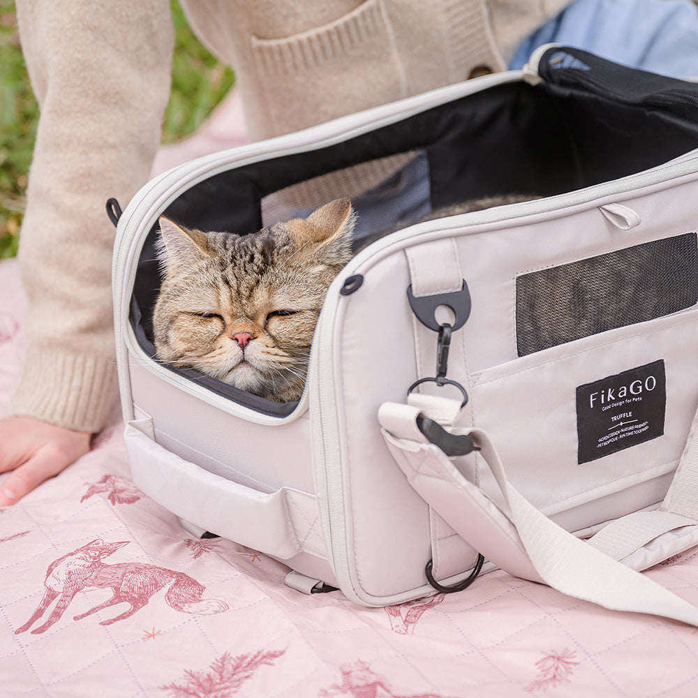 Cat resting inside FikaGO TRUFFLE carry-on pet bag