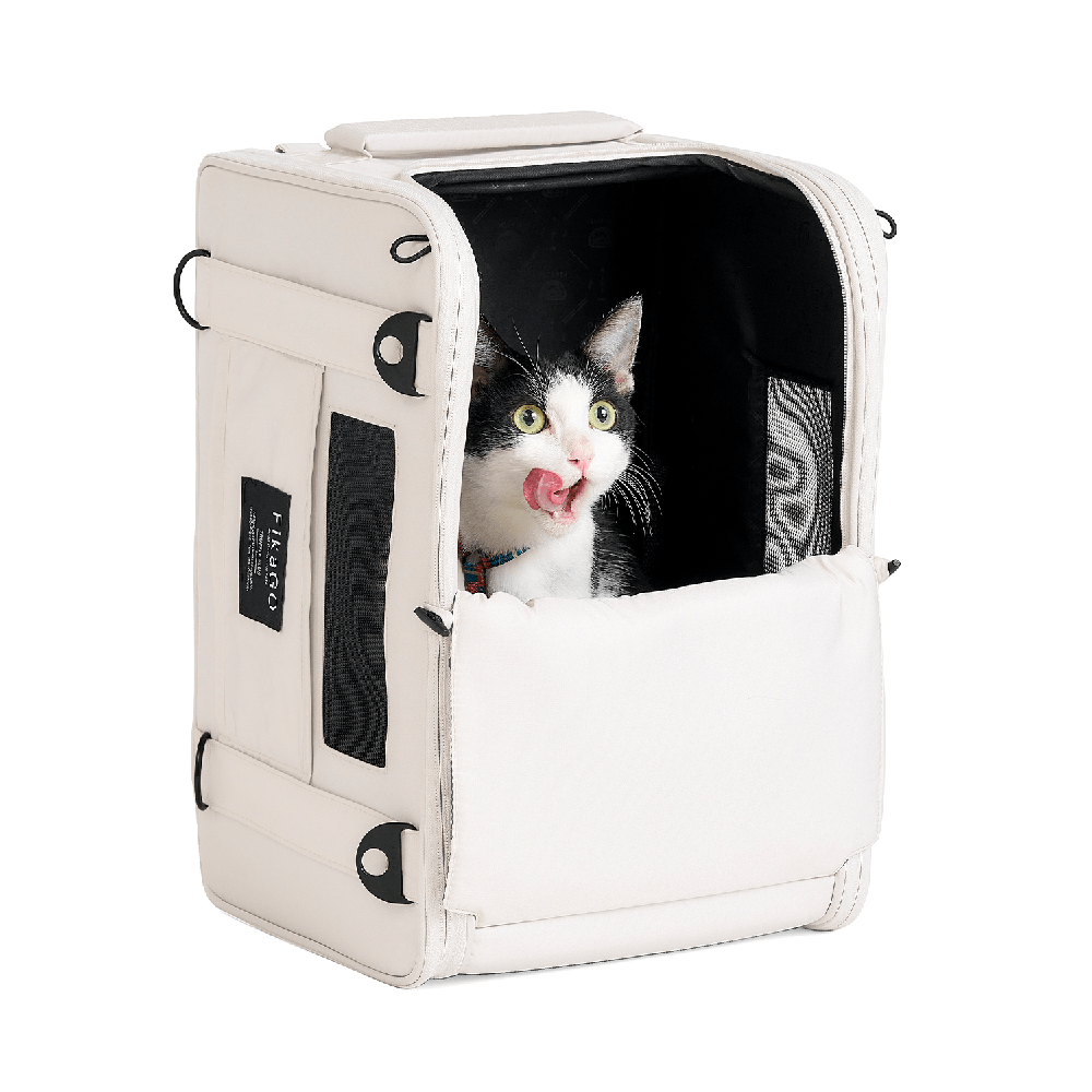Cat resting inside FikaGO TRUFFLE carry-on pet bag in upright position
