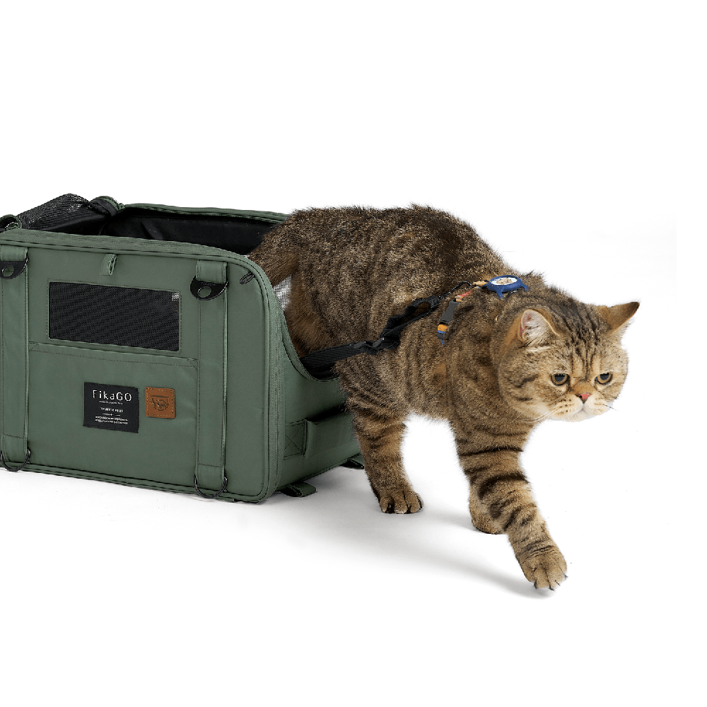 a cat is walking beside of the FikaGO TRUFFLE PLUS pet carrier in vintage green