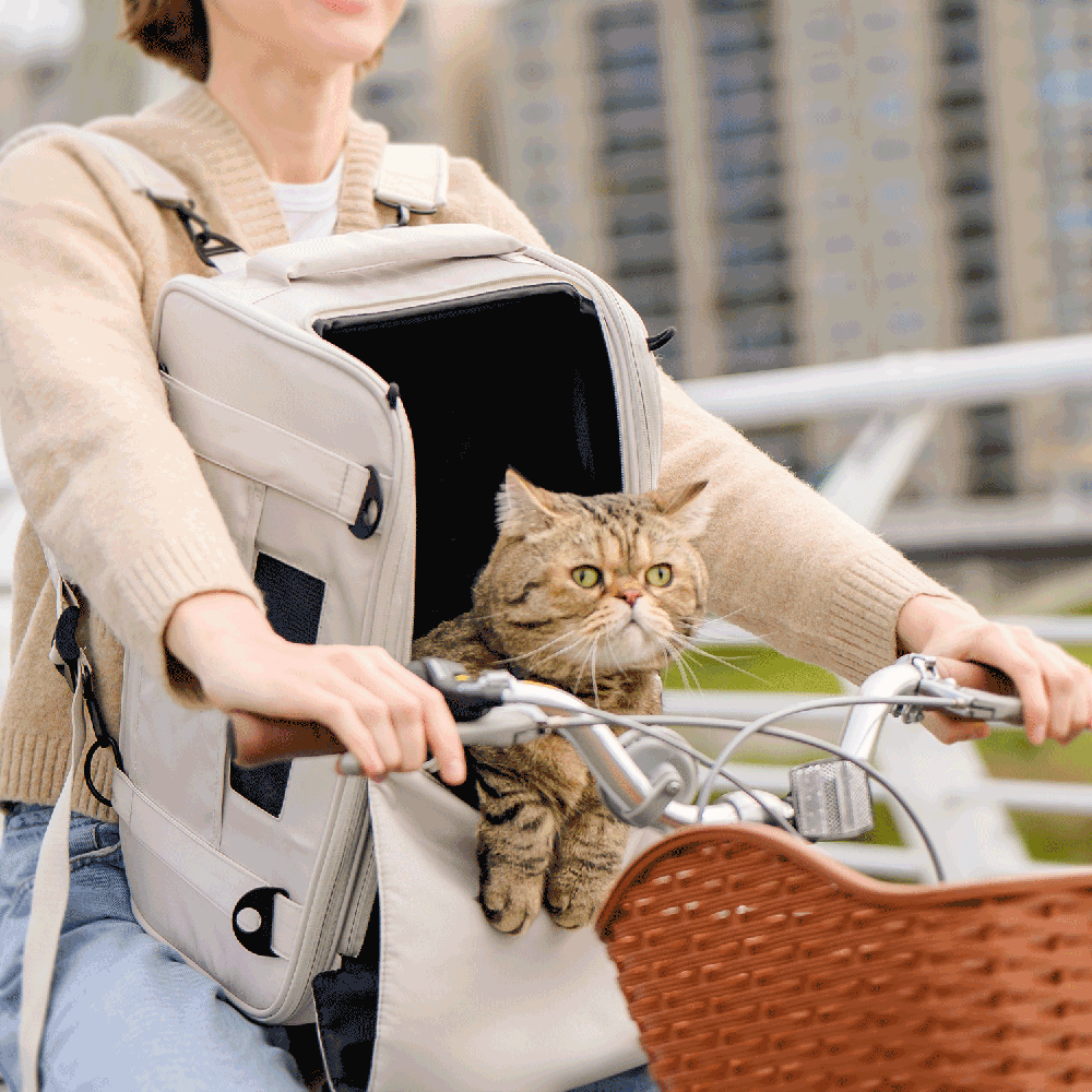 Person riding a bicycle with FikaGO TRUFFLE carry-on pet bag worn on the front