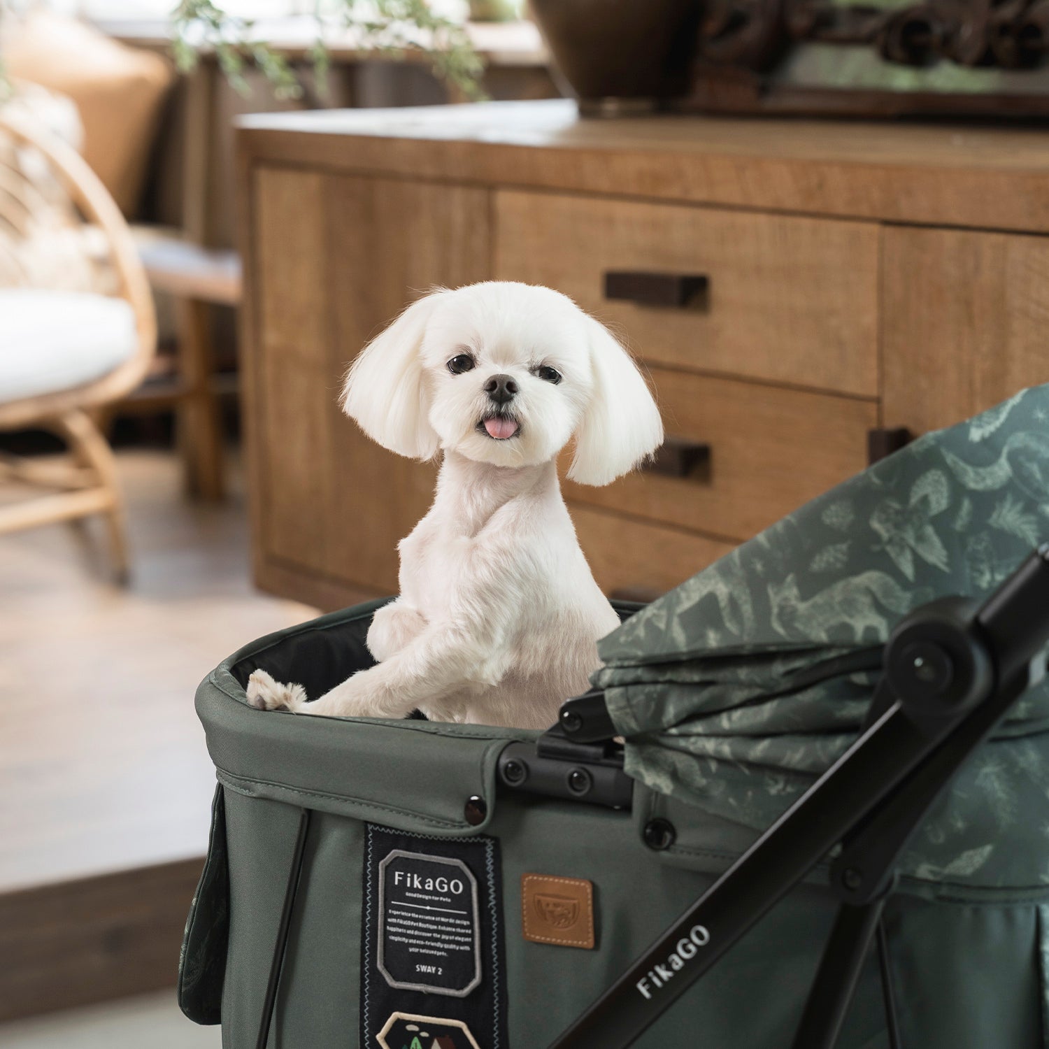 SWAY 2 + GO Travel System -Oslo Forest