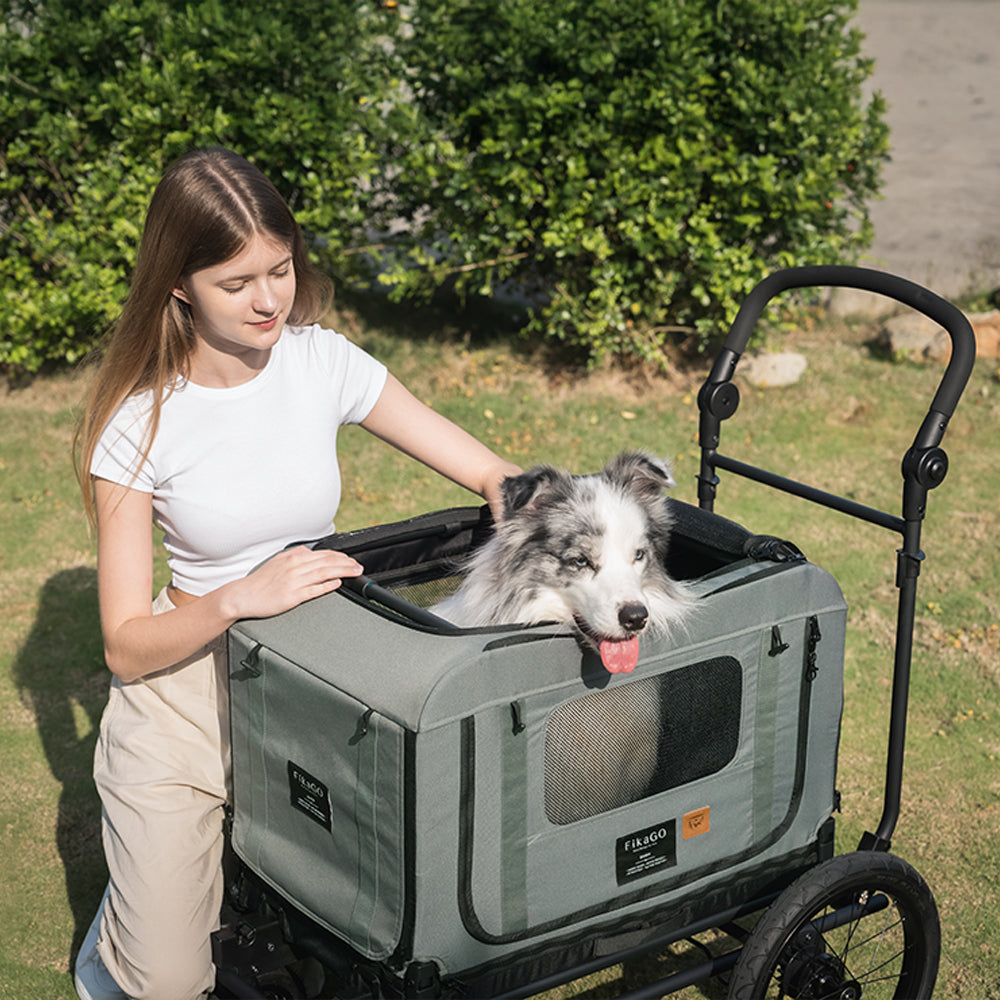QUEEN & KING & TOW BAR PET BIKE TRAILER - S