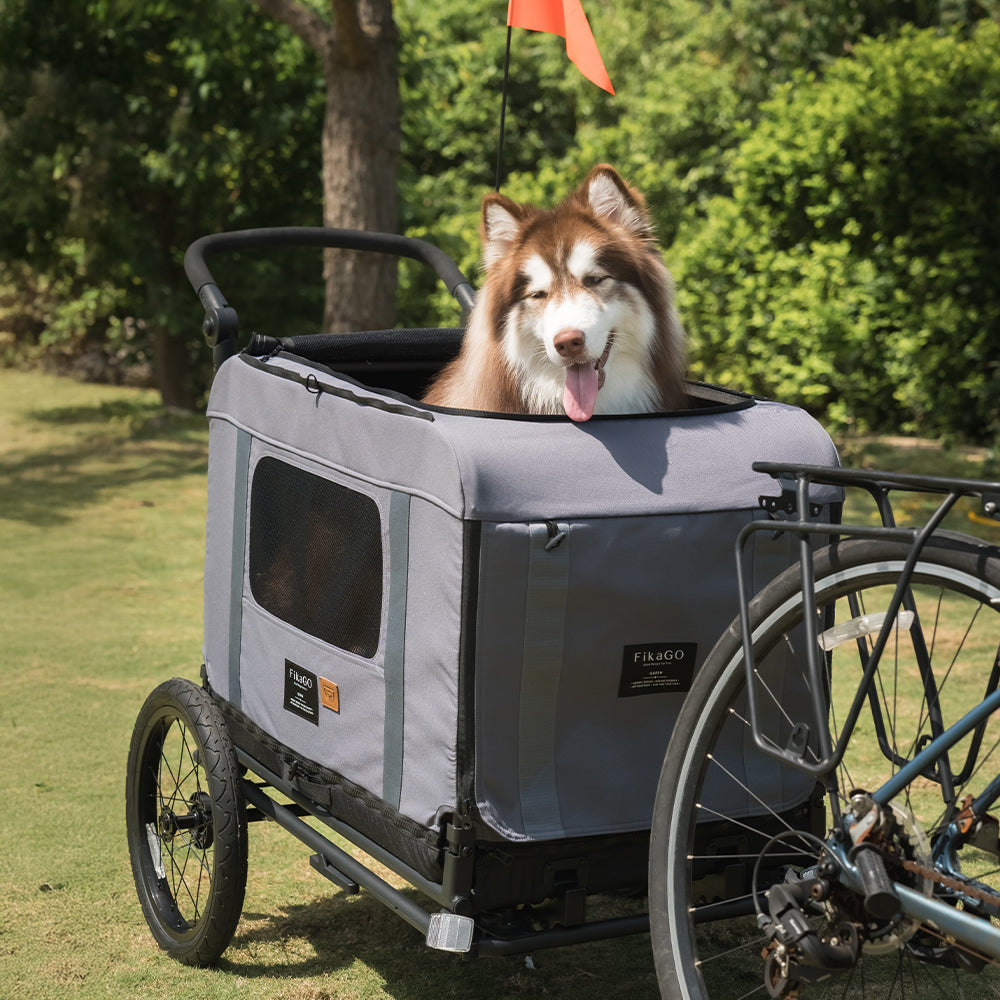 KING Dog & Pet Bike Trailer Conversion Kit
