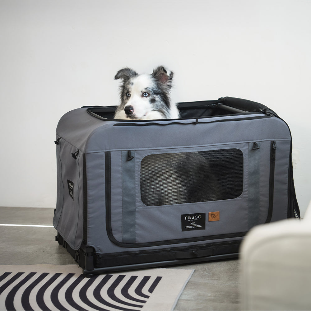 KING & QUEEN PET WAGON - M