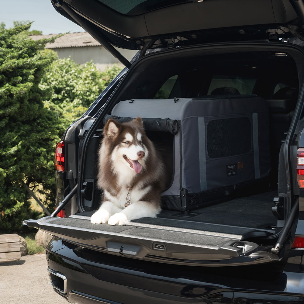 KING & QUEEN PET WAGON - M