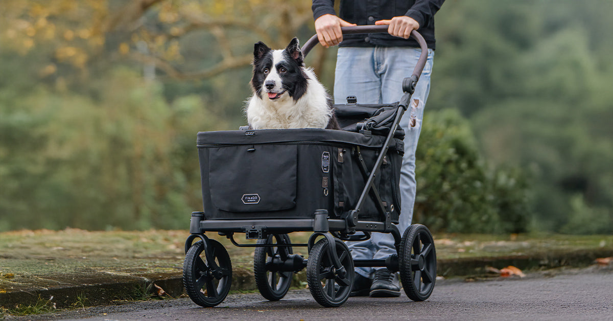 The Pet Stroller Checklist: 8 Must-Have Safety Features