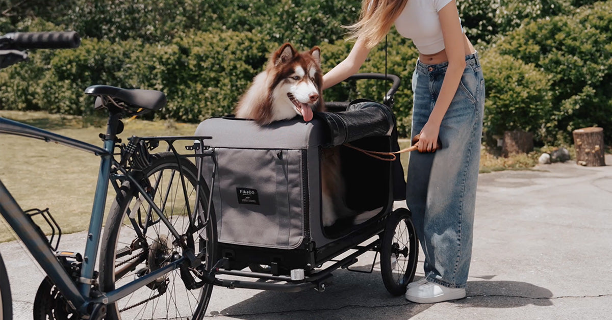 Biking with Your Dog: A Beginner's Complete Guide