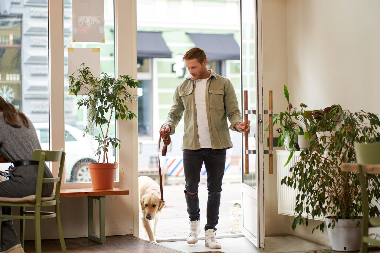 How to Build a Dog Morning Routine That Works