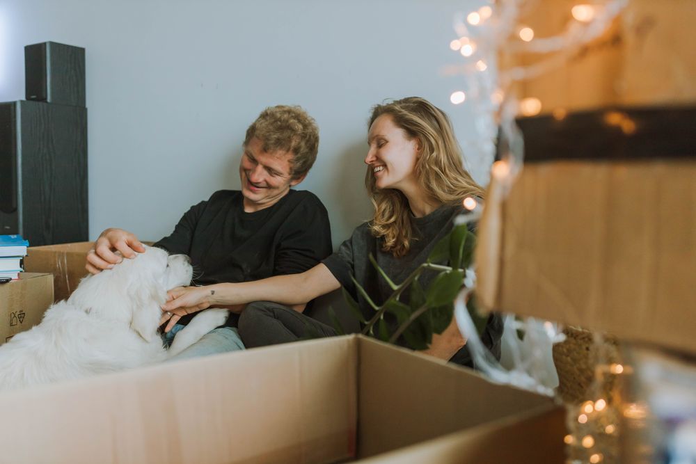 Moving With a Dog: A City-to-City Relocation Guide