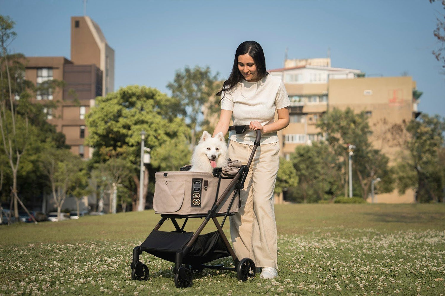 Pet Stroller vs. Carrier vs. Wagon: How to Choose the Right Pet Mobility Tool for City Life