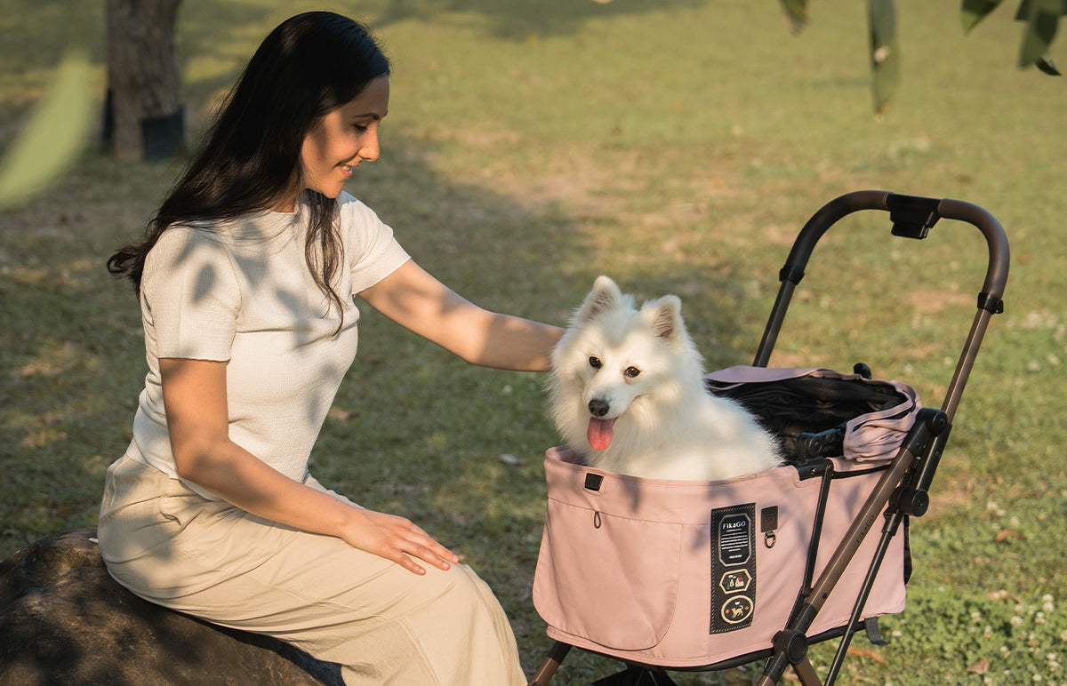 From Function to Fashion: Why the Pet Stroller Is the New Status Symbol for Modern Pet Parents