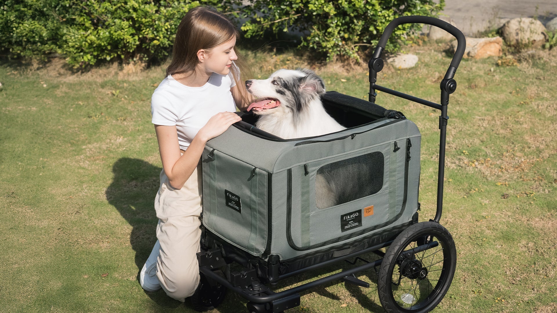 KING-PET WAGON