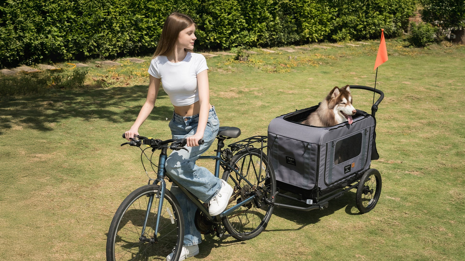 KING &amp; QUEEN: PET KENNEL/ PET WAGON/ PET BIKE TRAILER