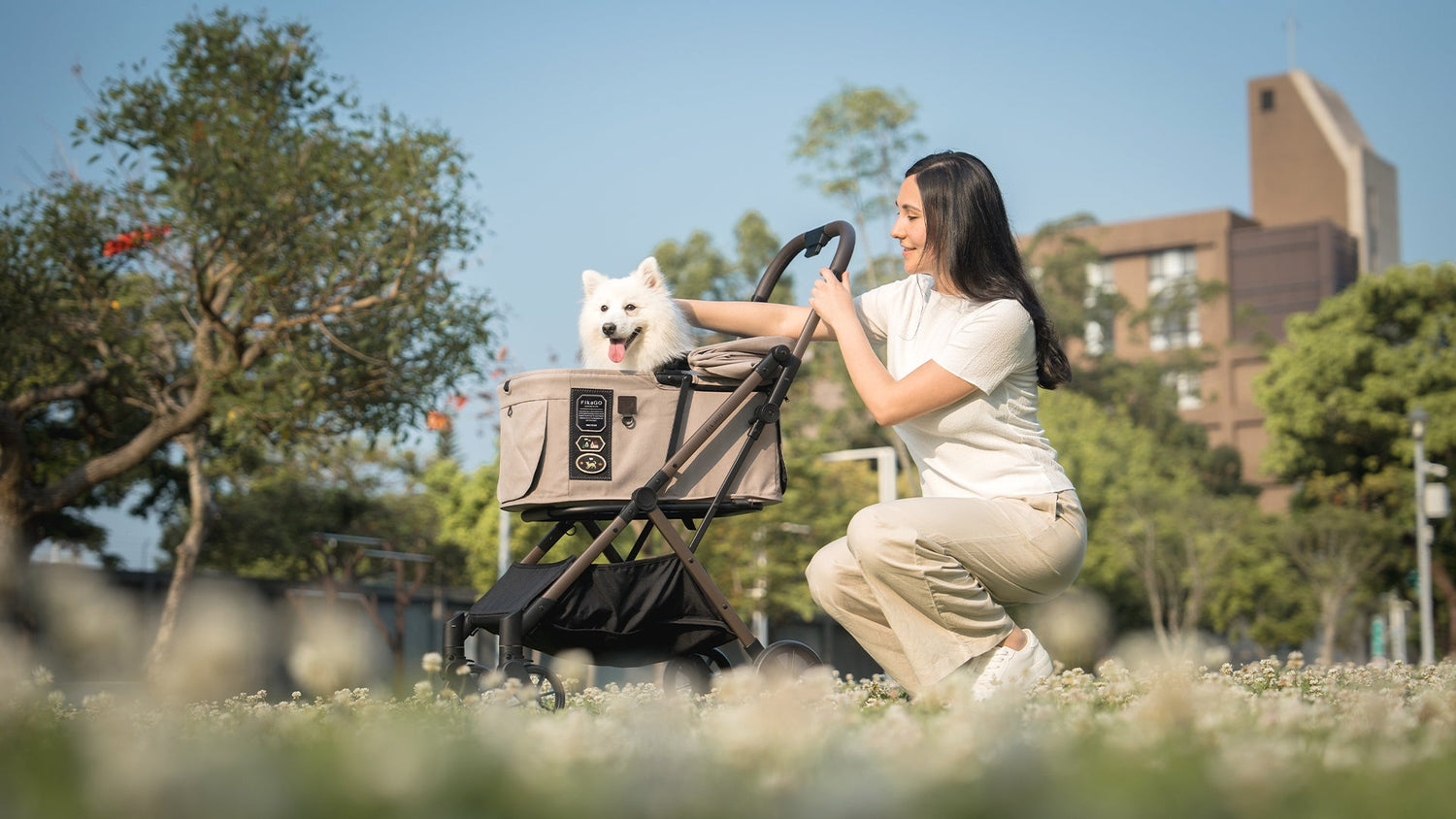 Pet Strollers for Dogs &amp; Cats