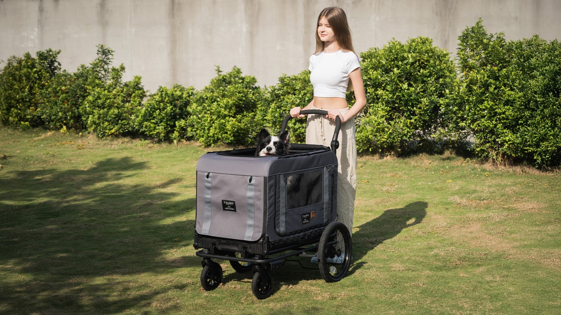 Pet Wagons for Large Dogs