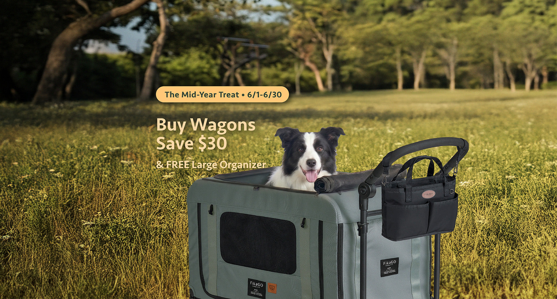 Pet Wagons for Large Dogs