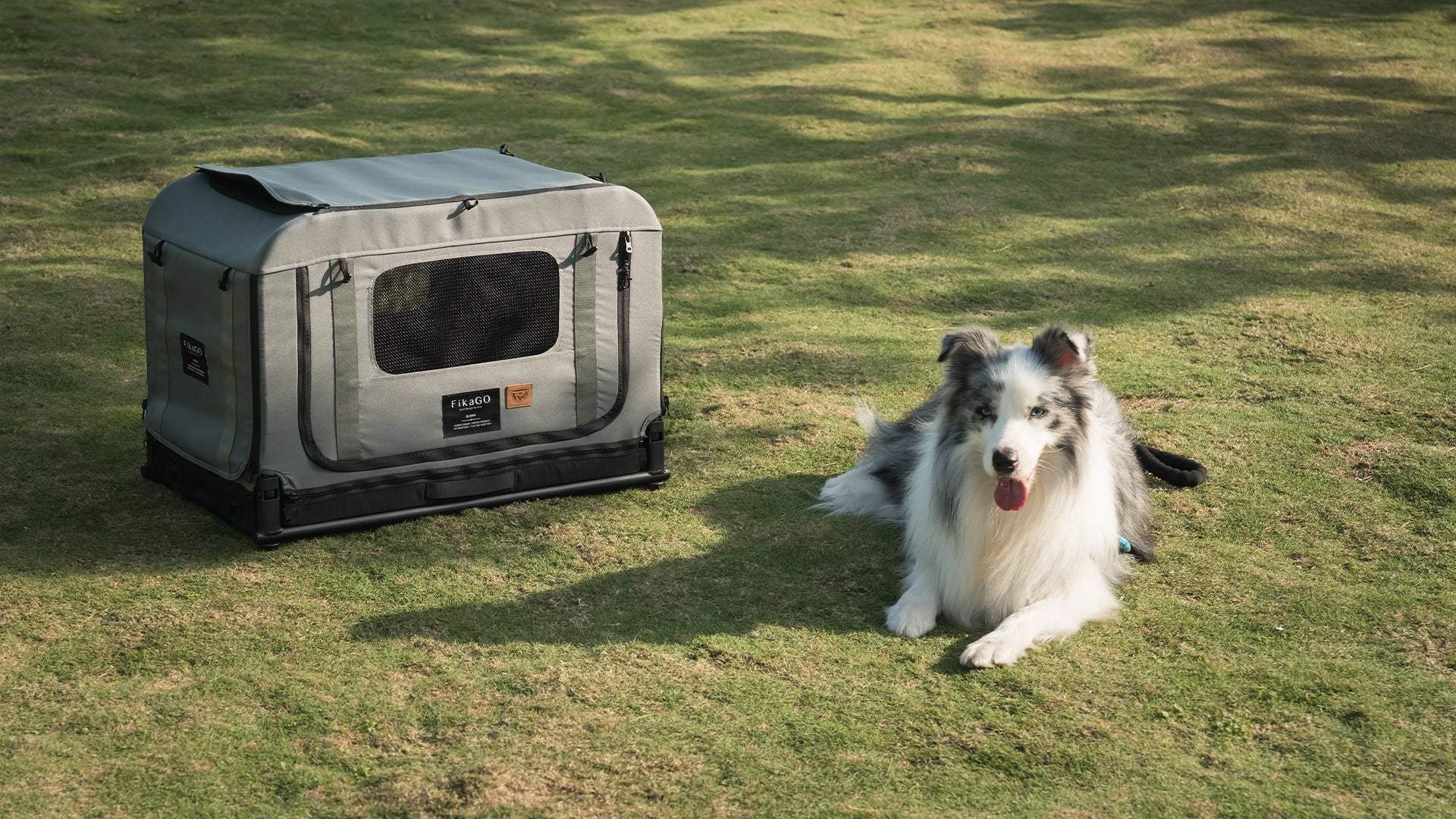 Portable Dog Kennel Crate