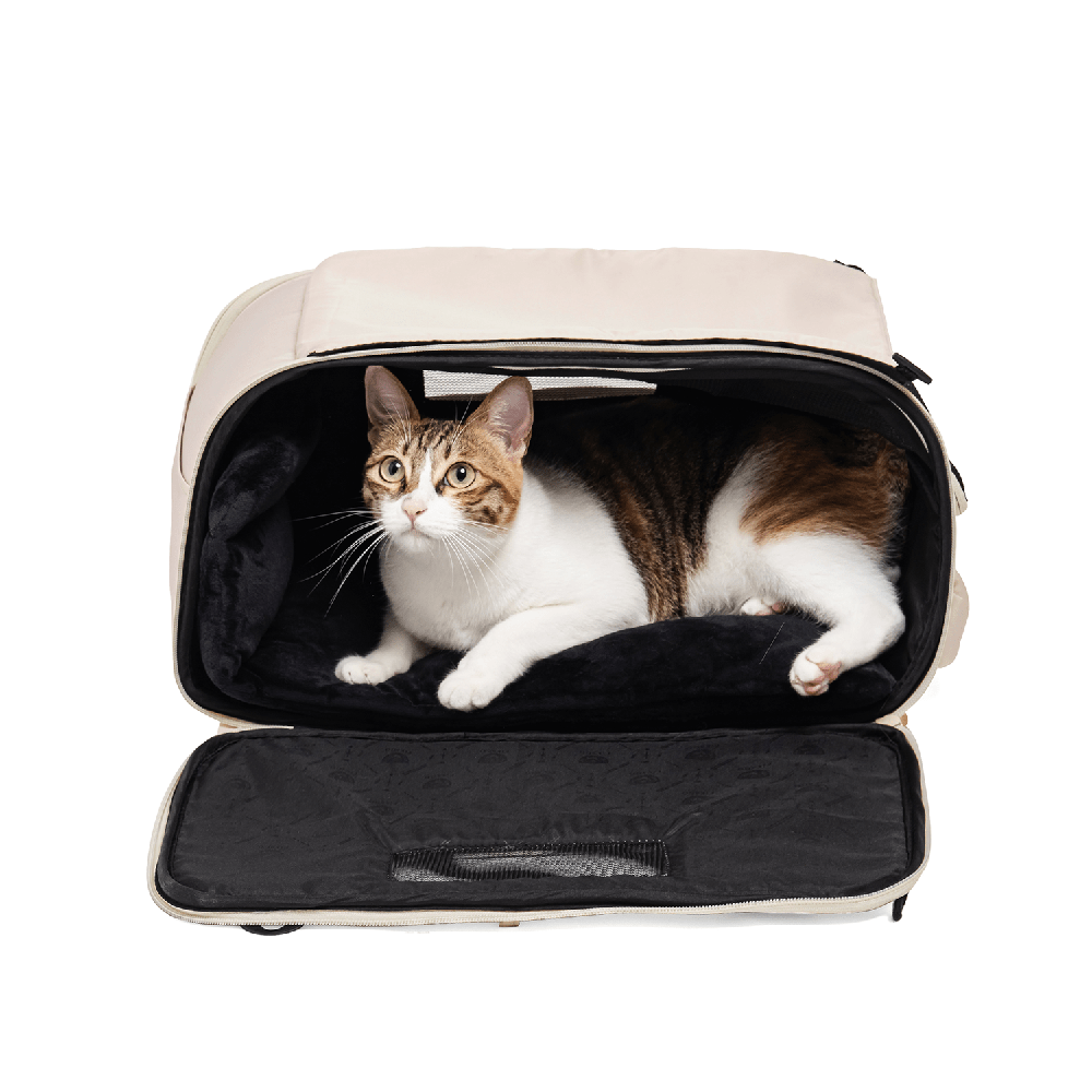 FikaGO TRUFFLE carry-on pet bag can be opened with both large side doors