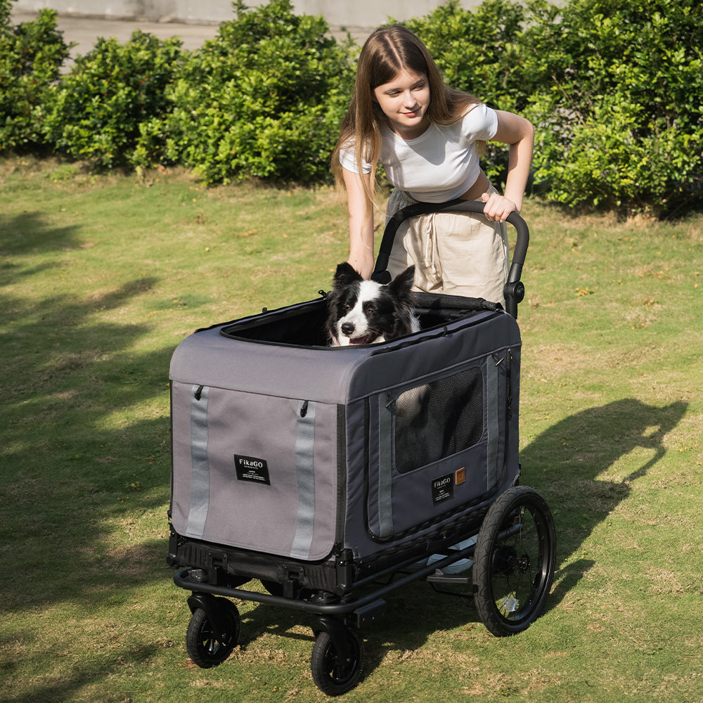 KING &amp; QUEEN PET WAGON - M