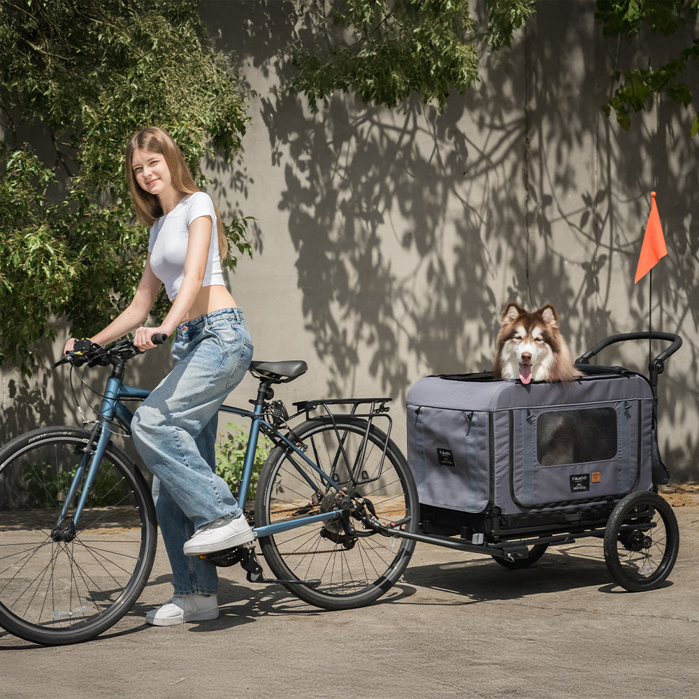 KING Dog &amp; Pet Bike Trailer Conversion Kit