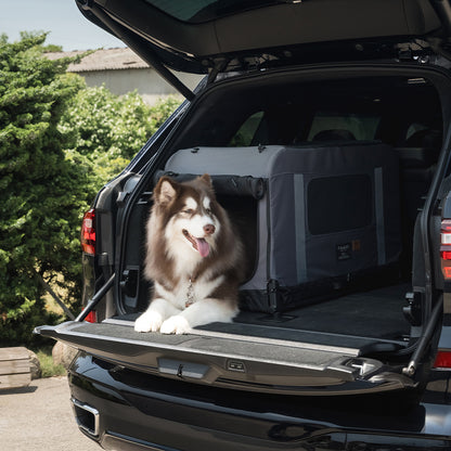 KING &amp; QUEEN PET WAGON - M