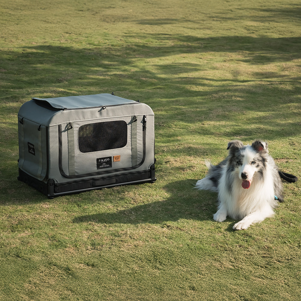 KING &amp; QUEEN PET WAGON - S