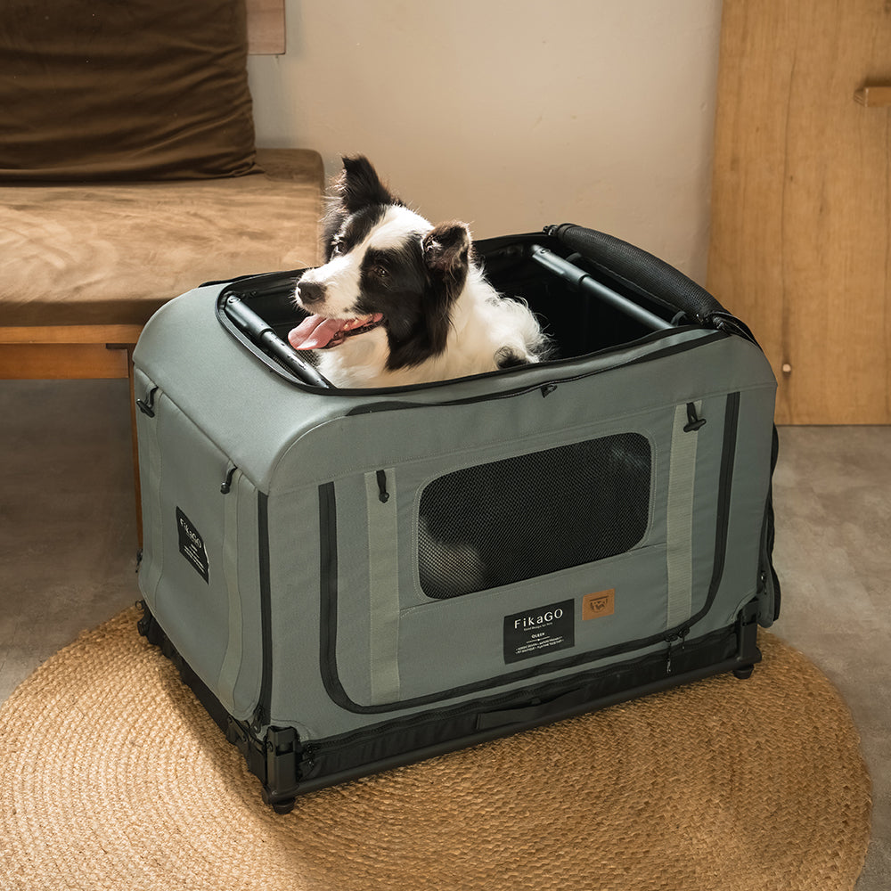 KING &amp; QUEEN PET WAGON - S